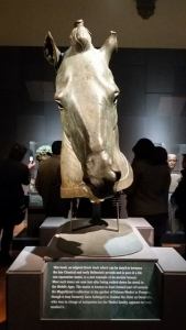 La testa di cavallo Medici-Riccardi nel suo allestimento a Palazzo Strozzi